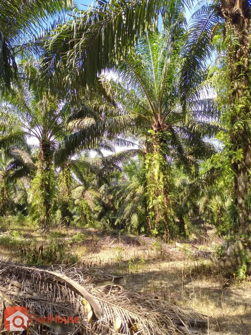 Gambar hartanah