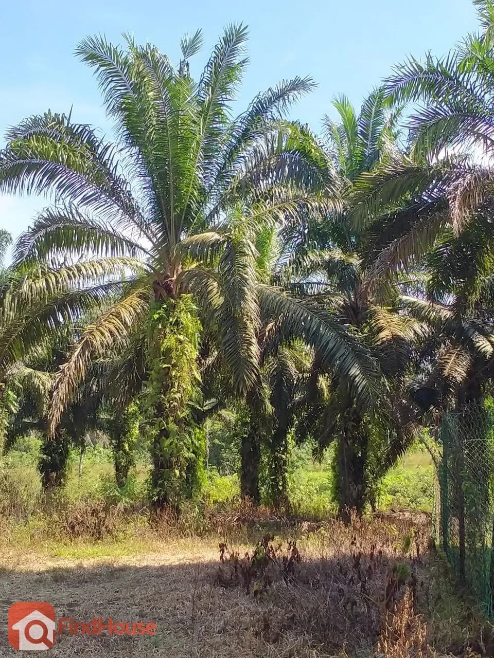 Gambar hartanah